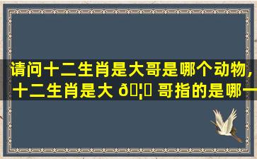 请问十二生肖是大哥是哪个动物,十二生肖是大 🦄 哥指的是哪一个生肖